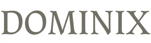 DOMINIX Logo