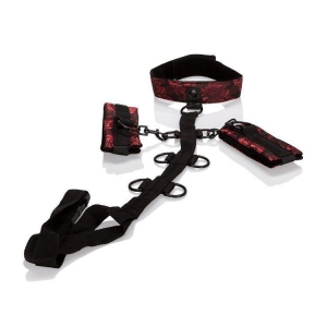 Scandal Collar Body Restraint Main Image