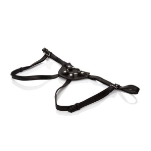 Her Royal Harness - The Countess Main Image