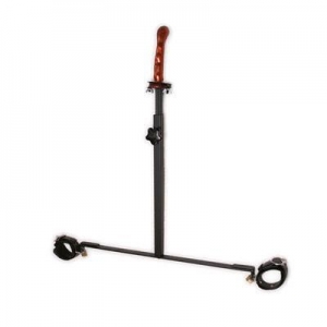 The Anal Impaler Main Image