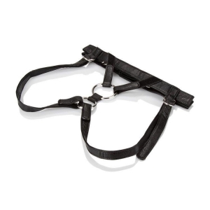 Her Royal Harness - The Duchess Main Image
