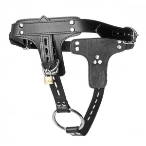 Premium Locking Leather Cock Ring & Anal Plug Harness Main Image