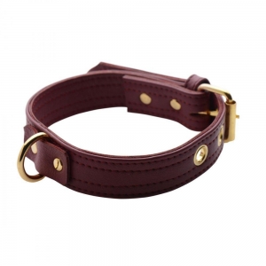 Luxury Burgundy Locking Collar Main Image