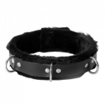 Narrow Fur Lined Locking Collar Main Image
