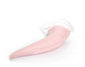 Slick Main Image