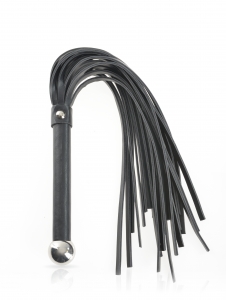 Fascination Whip Main Image
