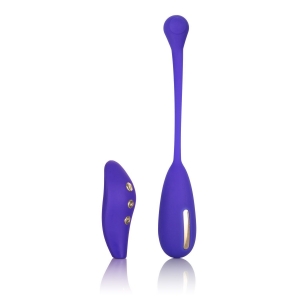 Impulse Intimate E-Stimulator Remote Kegel Exerciser Main Image